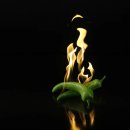 닭이랑전이랑 이미지