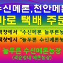 수신농장 이미지