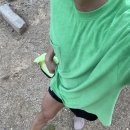 (주)솔밭 | [캠핑 후기] 여름철 물놀이의 명소 괴상 쌍곡계곡 바로 앞, 충북 괴산군 솔밭캠프 캠핑 후기