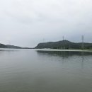 루어플라이하우스 | 대호만 지류권 배스 플라이 낚시 / 여름철 배스 플라이 패턴들