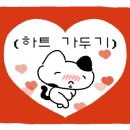 나인스짐 이미지