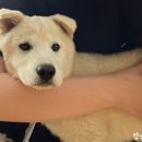 장순농장 이미지