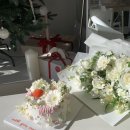 스테이서곡 이미지