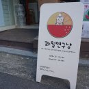 과일연구냥 이미지