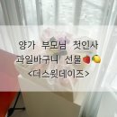 [Wedding] 06. 양가 부모님 첫인사 과일바구니 선물 추천 &lt;더스윗데이즈 당산&gt;