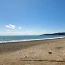 [울산 밥집] 1년 365일 활새우가 있는, 울산 북구 신명오도리마을