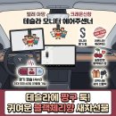 테슬라 오너 필수템? 벨르아망 짱구 모니터 방향제 후기 (+새차 선물 추천)