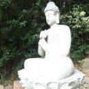 최*규 이미지