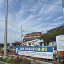 벚꽃길 | 울산 벚꽃 명소 장생포 벚꽃길 방문 후기