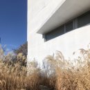 미메시스 아트 뮤지엄 이미지