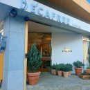 디카프리 완산 이미지