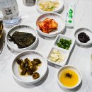 라이프위드도그 이미지