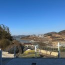 시바별장 | 전남 여수 애견독채펜션 시바별장에서 보낸 1박2일 후기!