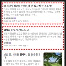 실버유통사업단