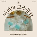 [업사이클링체험] MNU메이커스페이스에서 함께한 커피박 모스큐브 만들기 출강 수업 후기 ^ㅡ^