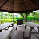 탄넨바움 이미지