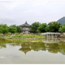 종로-연건-종로-연-270 | 경복궁의 향원정과 건청궁(乾淸宮)