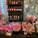 파리베이커리 이미지