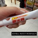 🇭🇰우당탕탕 홍콩여행 (부제: P가 신념이 강하면,, 산으로 간다)