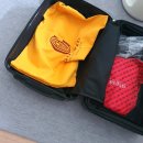 타요타요 펫택시 | 강아지 택시 타요펫 타고 가평여행 다녀왔어요! 펫 택시 탑승 및 이용후기