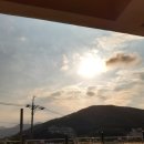 돈돈이네족발