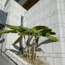 영신숲길2 | 점촌 명화의 거리 영신숲 공원(영신 유원지)