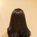 모아 붙임머리 네이버블로그