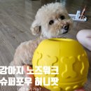 강아지 노즈워크 장난감 슈퍼포우 오래 먹는 허니팟 허니볼 내돈내산후기