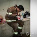 꿈이익는뜨락 이미지