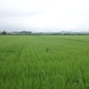 조양목장 이미지