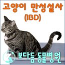 보다듬동물병원 네이버블로그