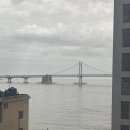 언플랜드88 이미지