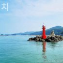 서포비치 이미지