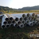 대인사 이미지