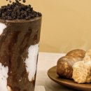 커피리더 Daum카페