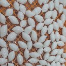 봉곡동315 이미지