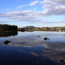 오조리-5 이미지