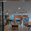 세종 칼국수 추천 / 마시쭈칼국수