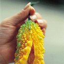 여주-0008 이미지