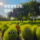 화명생태공원(화명운동장 내) | 부산에 가볼만한곳 화명생태공원 축제 나이트마켓 댑싸리