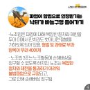 통운산업노동조합 | CJ대한통운, '노란봉투법' 따라 하청 노조와 교섭…택배업계 파장 예고