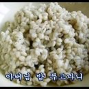 꽁보리밥 이미지