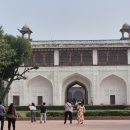 더 골드 | 인도 빠하르간지 델리 숙소 추천 위치 골드 더 로열 후기