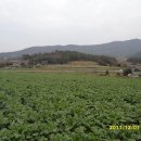 대우장여관 이미지