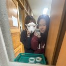 요가 1반 | 고이고이