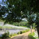 향촌농장 이미지