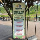 동양카 | 강화도 루지 주차 입장료 할인 케이블카 전망대 총 정리 정보