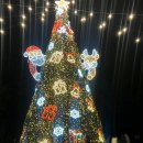 상남동177 이미지