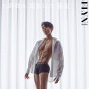 스파렉스 이미지