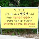 바다애오토캠핑장 이미지